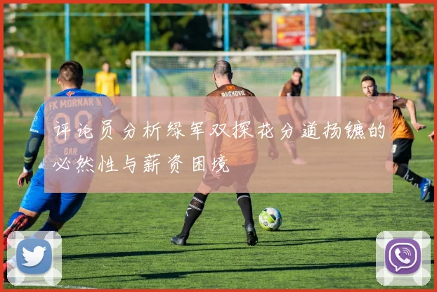 评论员分析绿军双探花分道扬镳的必然性与薪资困境
